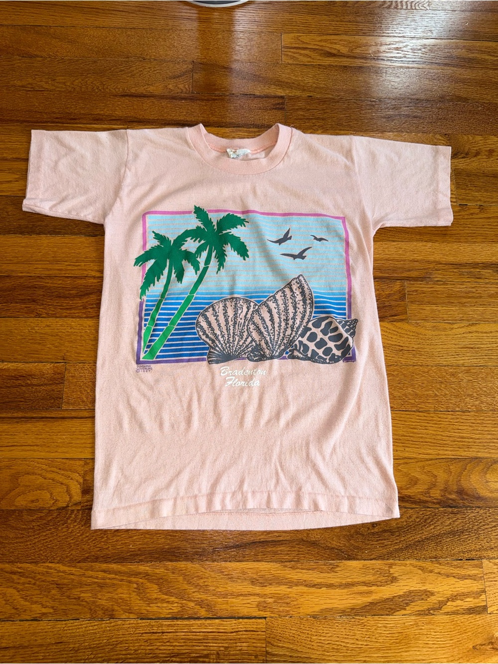 Vintage 80s Bradenton Florida T-shirt, Beach Seashells Vacation (Youth Large)